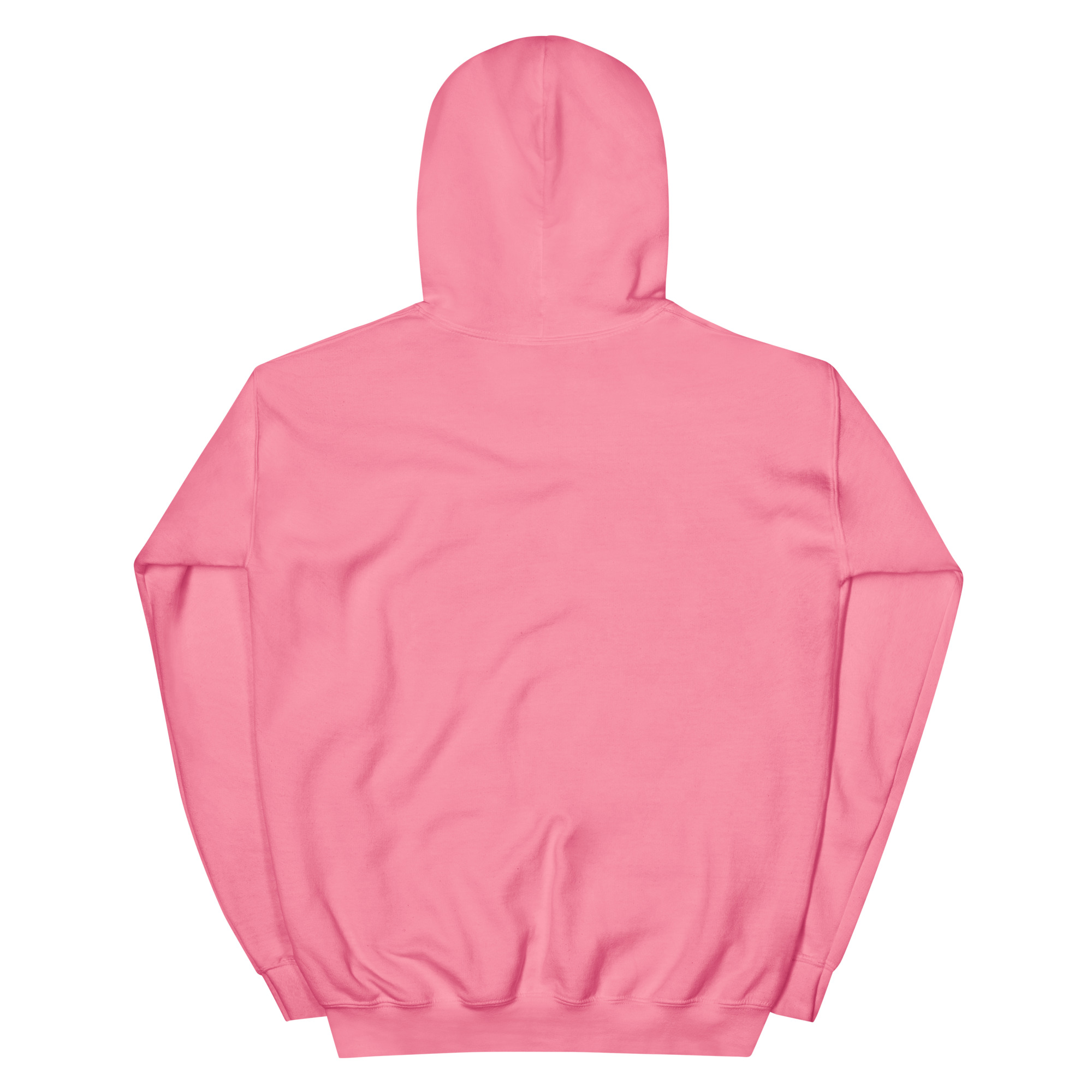 Unisex Hoodie - Image 15