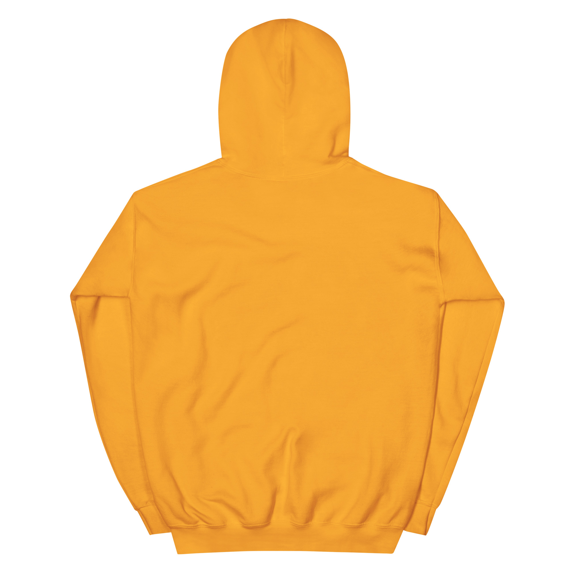 Unisex Hoodie - Image 16